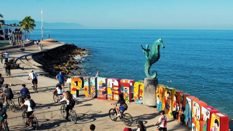 Compas y Baikas 2024