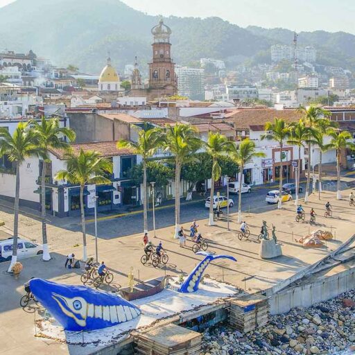 Compas y Baikas 2025